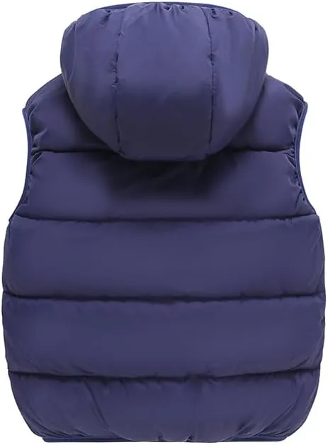 AMIYAN Toddler Winter Puffer Vest Boys Hooded Sleeveless Jacket Lightweight Warm Down Coat with Pocket for Kids 1-7 Years